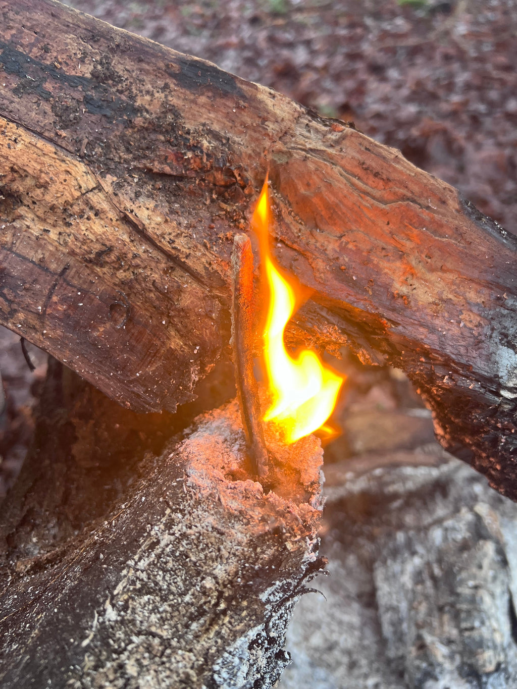 Beeswax Firelighters -Elmer Honey co